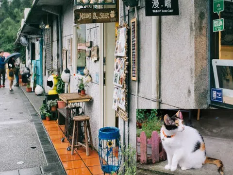 Houtong - Thánh địa mới toanh dành cho những `kẻ cuồng mèo` ở Đài Loan